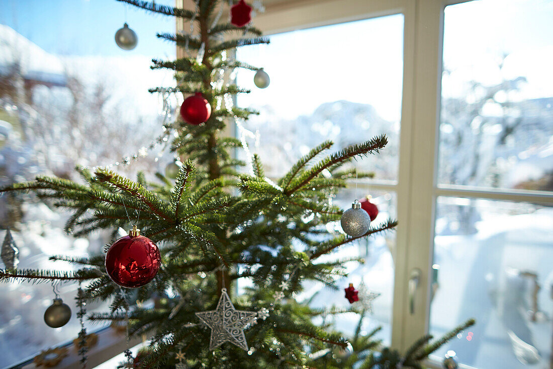 Christmas decorations on a Christmas tree, Christmas, Winter