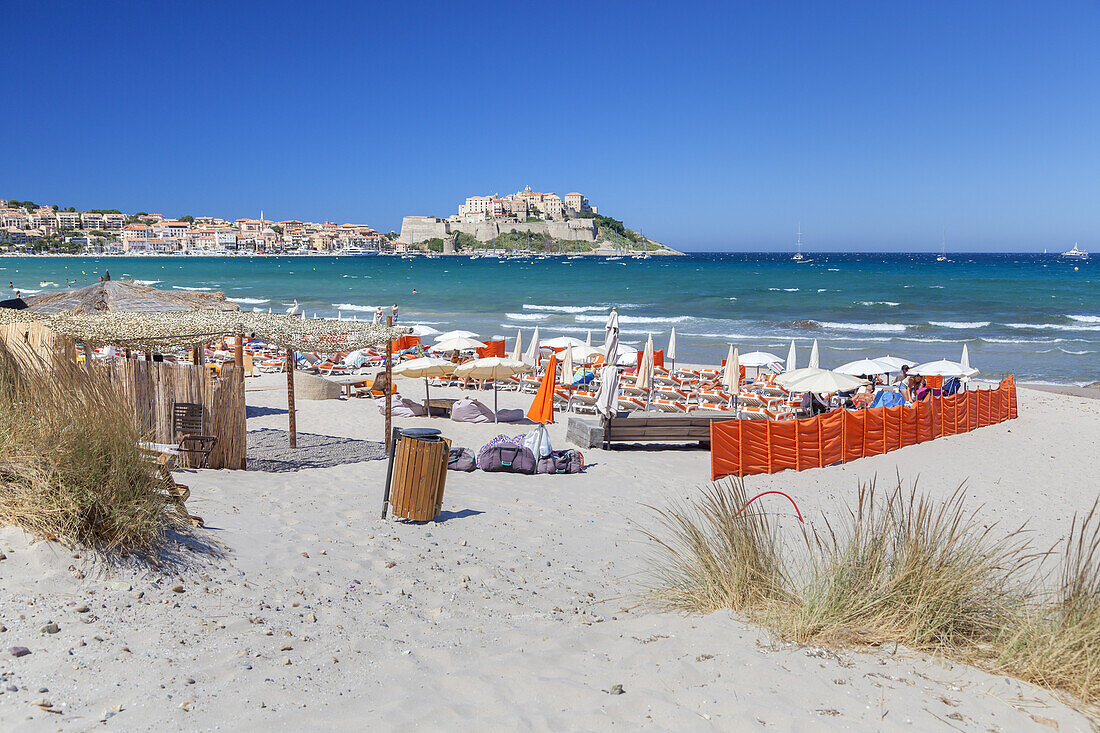 View from beach to citadel of Calvi, Corsica, Southern France, France, Southern Europe