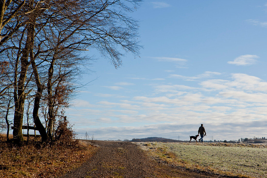 Man walks his dog at the edge of a forest in winter near Frankenau, Hesse, Germany, Europe