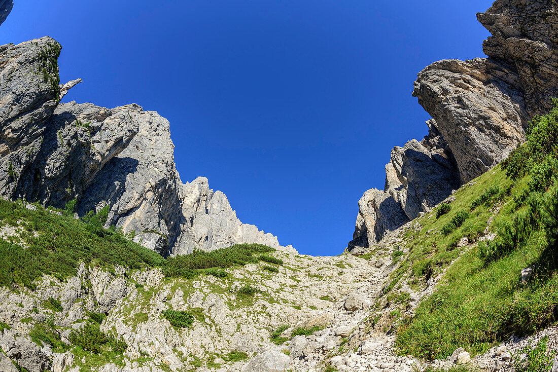 Rock spires in valley Val Canali, Pala Group, Dolomites, UNESCO World Heritage Site Dolomites, Trentino, Italy