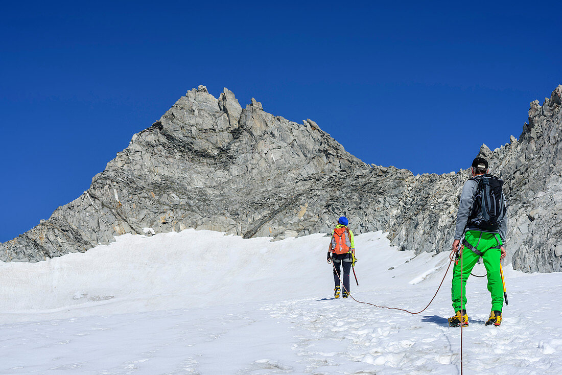 Man and woman ascending on glacier Kuchelmoosferner, Wildgerlosspitze in background, Kuchelmoosferner, Zillergrund, Reichenspitze group, Zillertal Alps, Tyrol, Austria