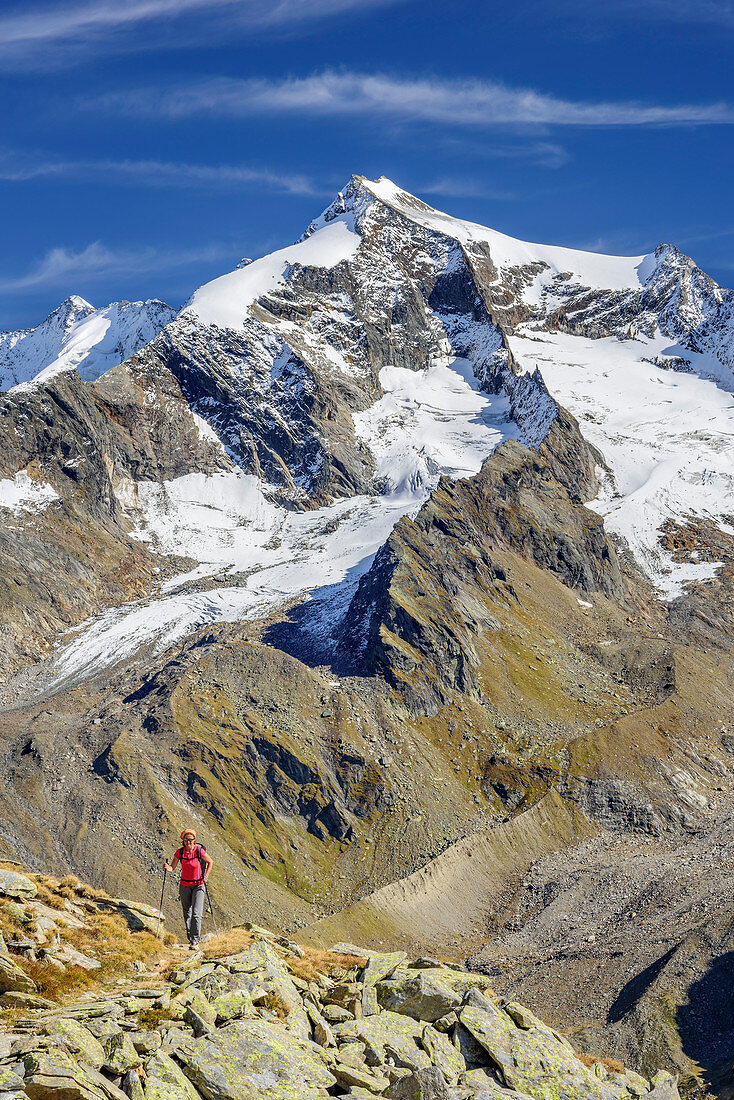 Frau wandert, Dreiherrenspitze im Hintergrund, Naturpark Zillertaler Alpen, Dreiländertour, Zillertaler Alpen, Südtirol, Italien