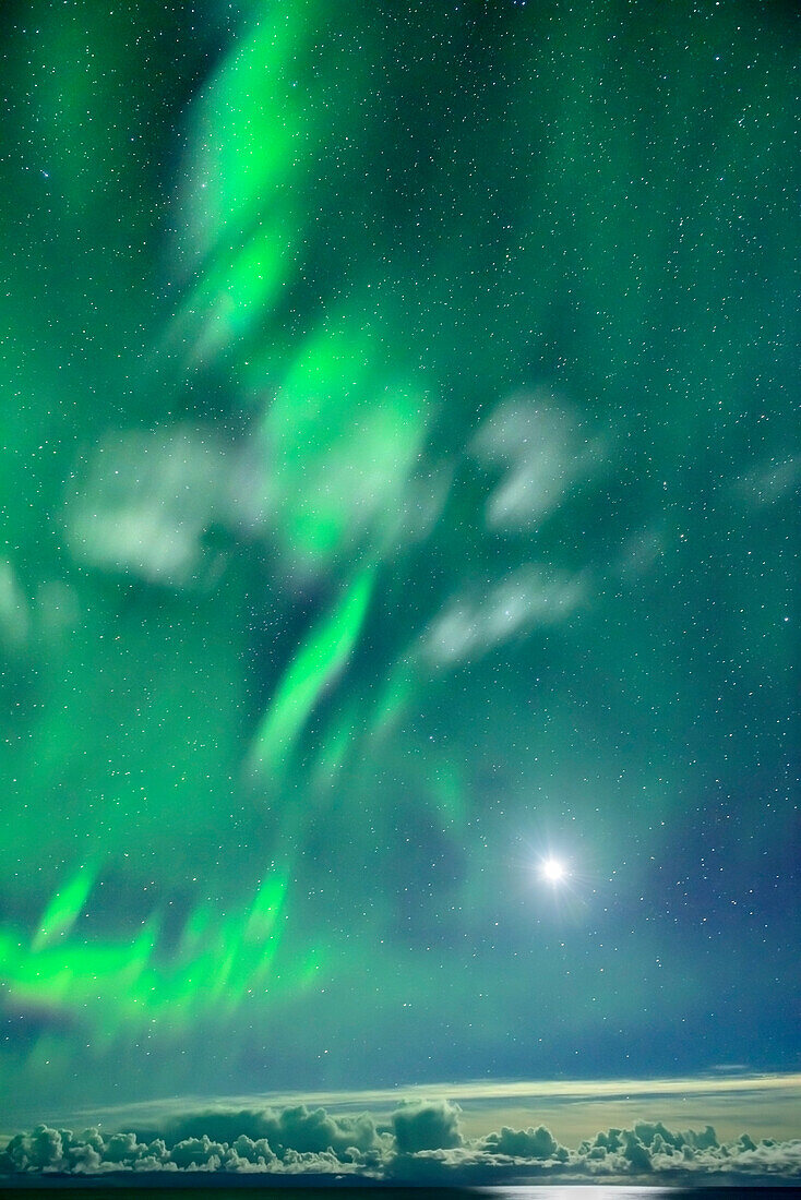Aurora borealis, Aurora above Northern Atlantic Ocean, Lofoten, Norland, Norway