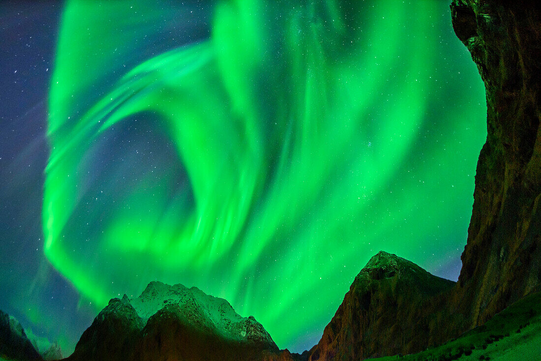 Aurora borealis, Aurora above snow-covered mountains, Lofoten, Norland, Norway