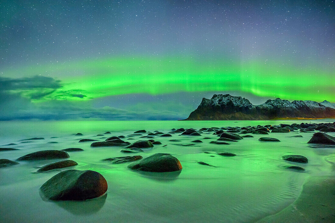 Aurora borealis, Aurora above beach and snow-covered mountains, Lofoten, Norland, Norway