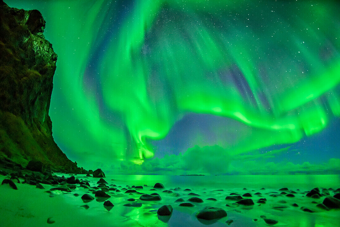 Aurora borealis, Polarlicht über Strand und Nordmeer, Lofoten, Norland, Norwegen