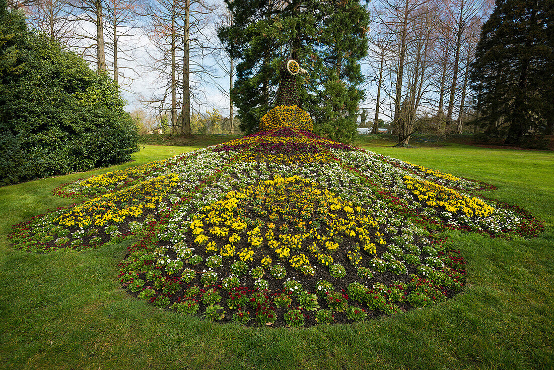 Blühende Blumenbeete im Frühling, Insel Mainau, Konstanz, Bodensee, Baden-Württemberg, Deutschland