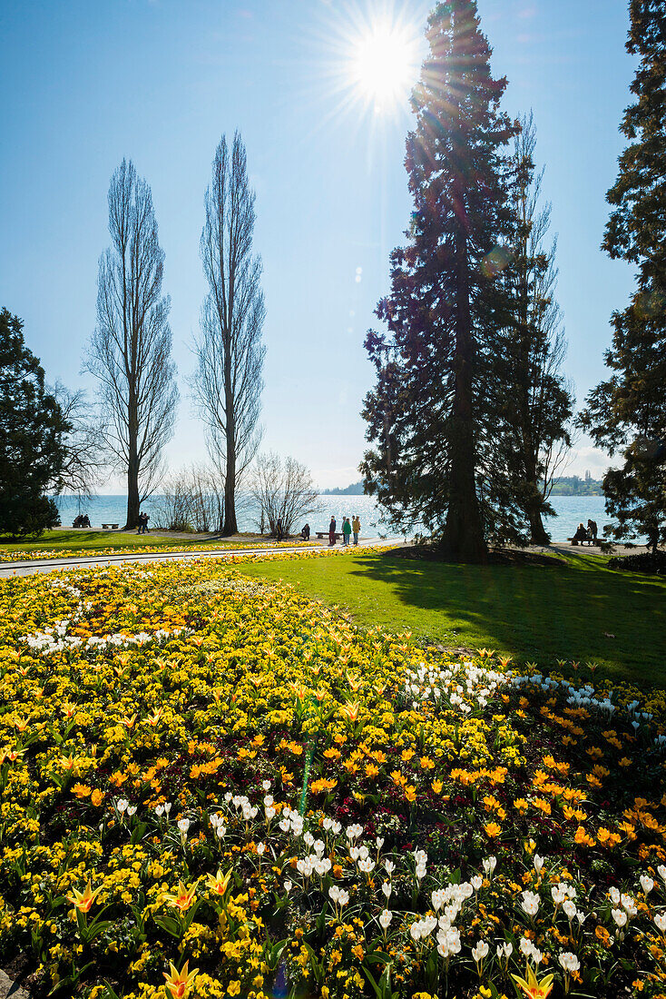 Blooming flower beds, spring, Mainau Island, Flower Island, Constance, Lake Constance, Baden-Württemberg, Germany