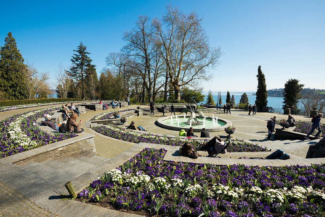 Blooming flower beds, spring, Mainau Island, Flower Island, Constance, Lake Constance, Baden-Württemberg, Germany