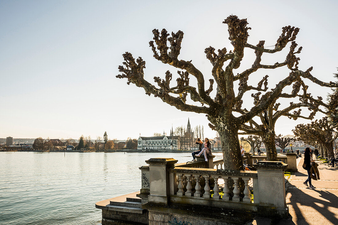 Ausblick von der Promenade auf die Altstadt im Frühling, Konstanz, Baden-Württemberg, Deutschland