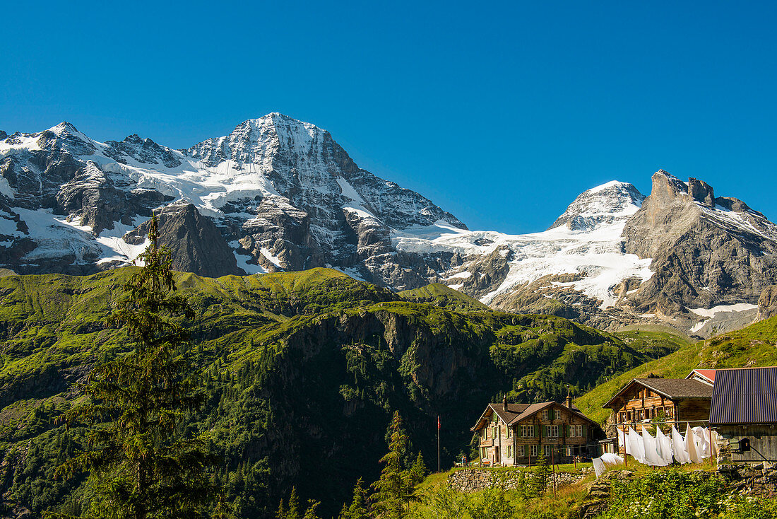 Berggasthof Obersteinberg, mountain guesthouse, Tschingelhorn behind with snow, Lauterbrunnen, Swiss Alps Jungfrau-Aletsch, Bernese Oberland, Canton of Bern, Switzerland