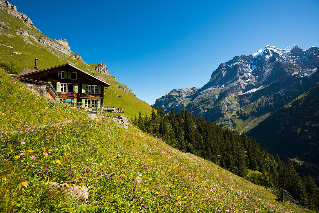 Berggasthof Obersteinberg, hinteres Lauterbrunnental, Lauterbrunnen, Schweizer Alpen Jungfrau-Aletsch, Berner Oberland, Kanton Bern, Schweiz