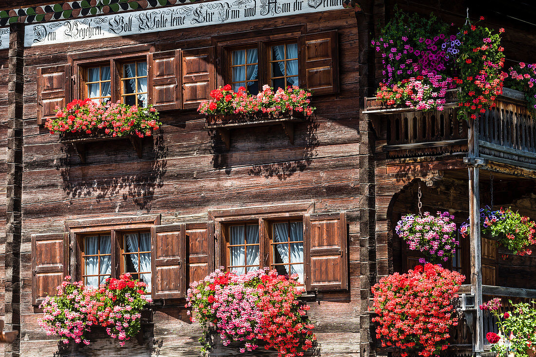 Üppiger Blumenschmuck an einem alten Holzhaus, Saas im Prättigau, Kanton Graubünden, Schweiz