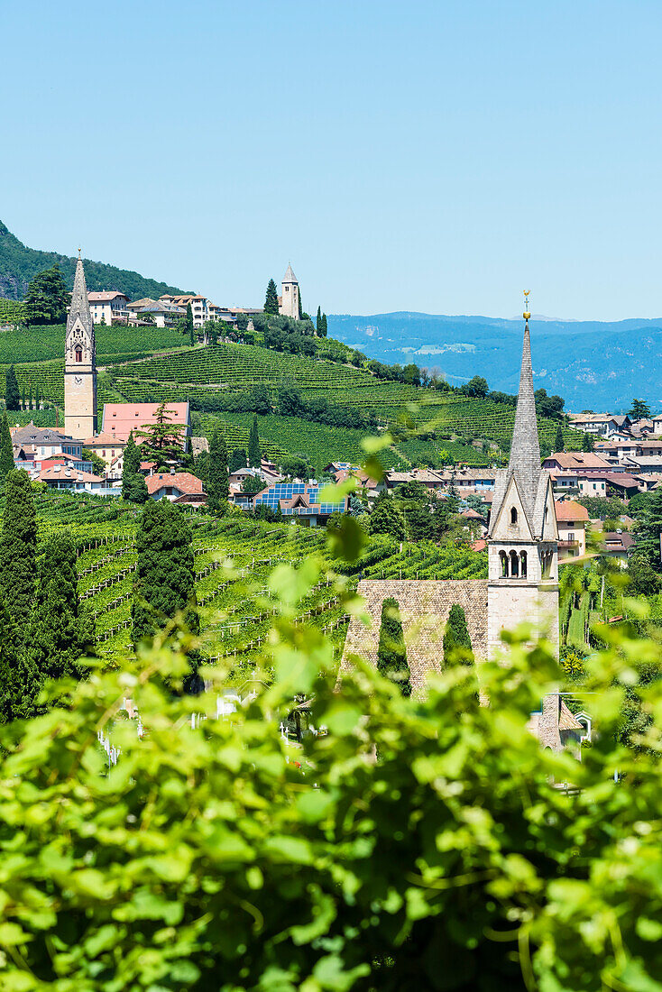 Blick auf das Dorf an der Weinstrasse mit den vielen Kirchen, Tramin, Südtirol, Italien