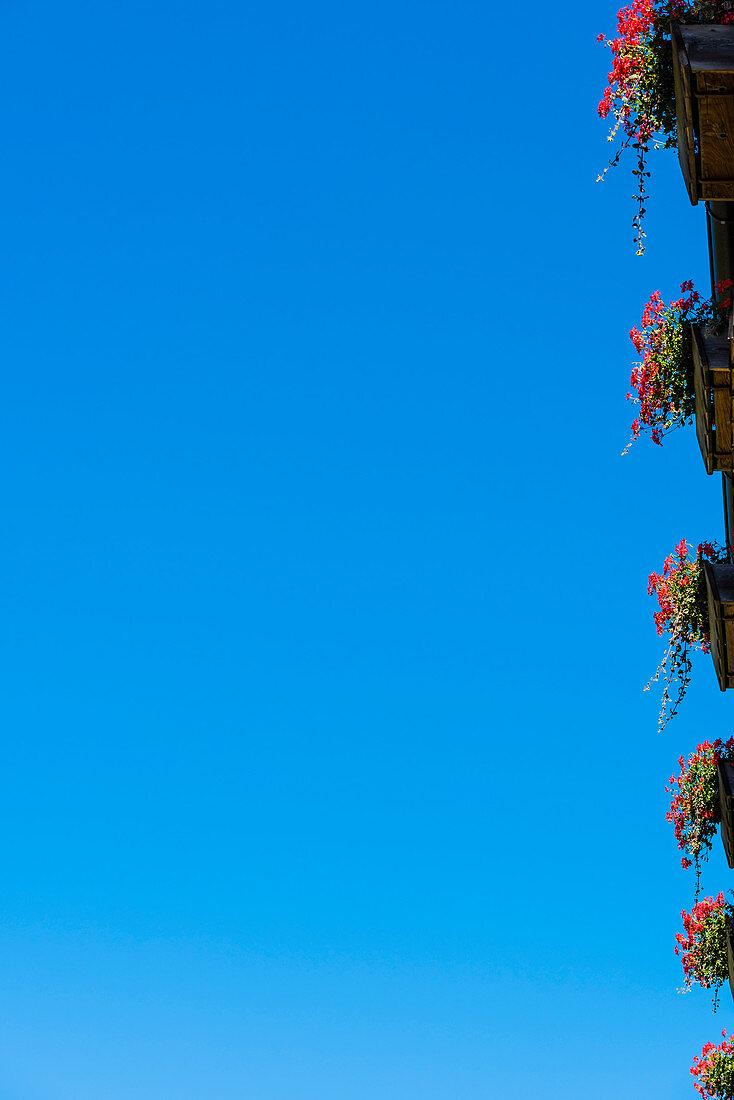 Balkone mit Blumenkästen und Geranien aus der Froschperspektive, Truden, Südtirol, Italien