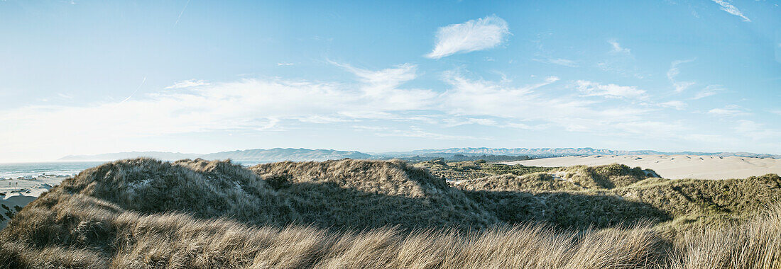 Sand dunes with grass, San Luis Obispo, California, United States of America