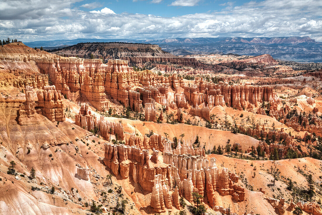 Hoodoos viewed from the Rim Trail near Sunset Point, Bryce Canyon National Park, Utah, United States of America