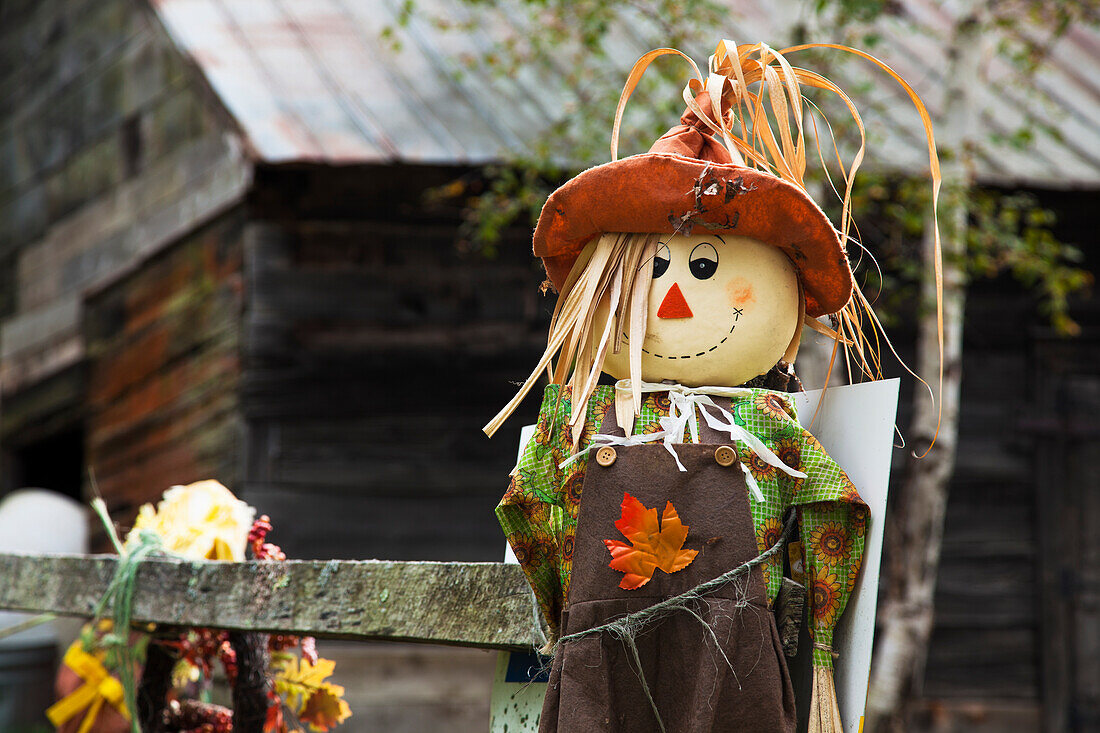 A scarecrow at Sugarbush Farm, Woodstock, Vermont, United States of America
