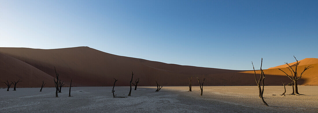 Sunrise starts to light up the sand dunes surrounding the Deadvlei, part of the Namib desert in Sossusvlei, Namibia