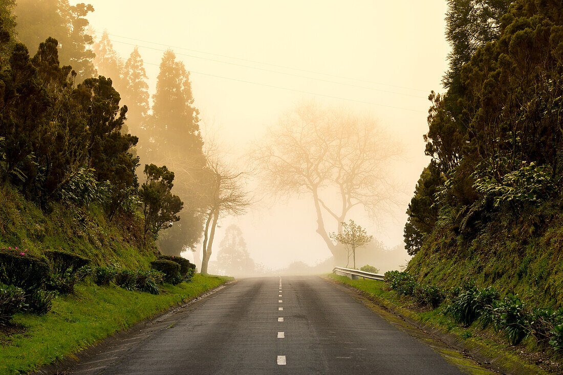 Daytime fog at the end of the road, Sao Miguel, Azores, Portugal