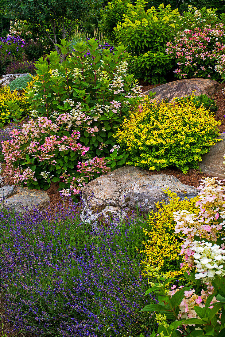 Rock garden and colourful blossoming plants, Knowlton, Quebec, Canada