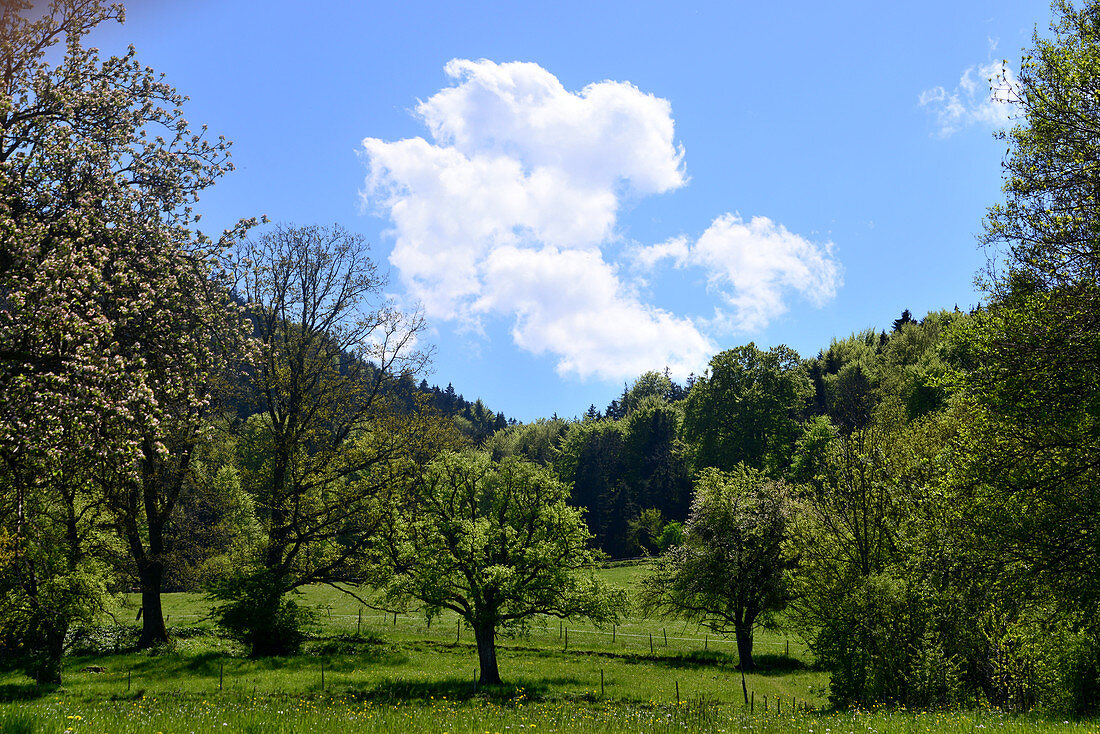 Landschaft bei Bad Feilnbach, Oberbayern, Bayern, Deutschland