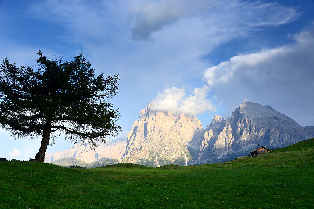 auf der Seiseralm mit Langkofel, Dolomiten, Südtirol, Italien