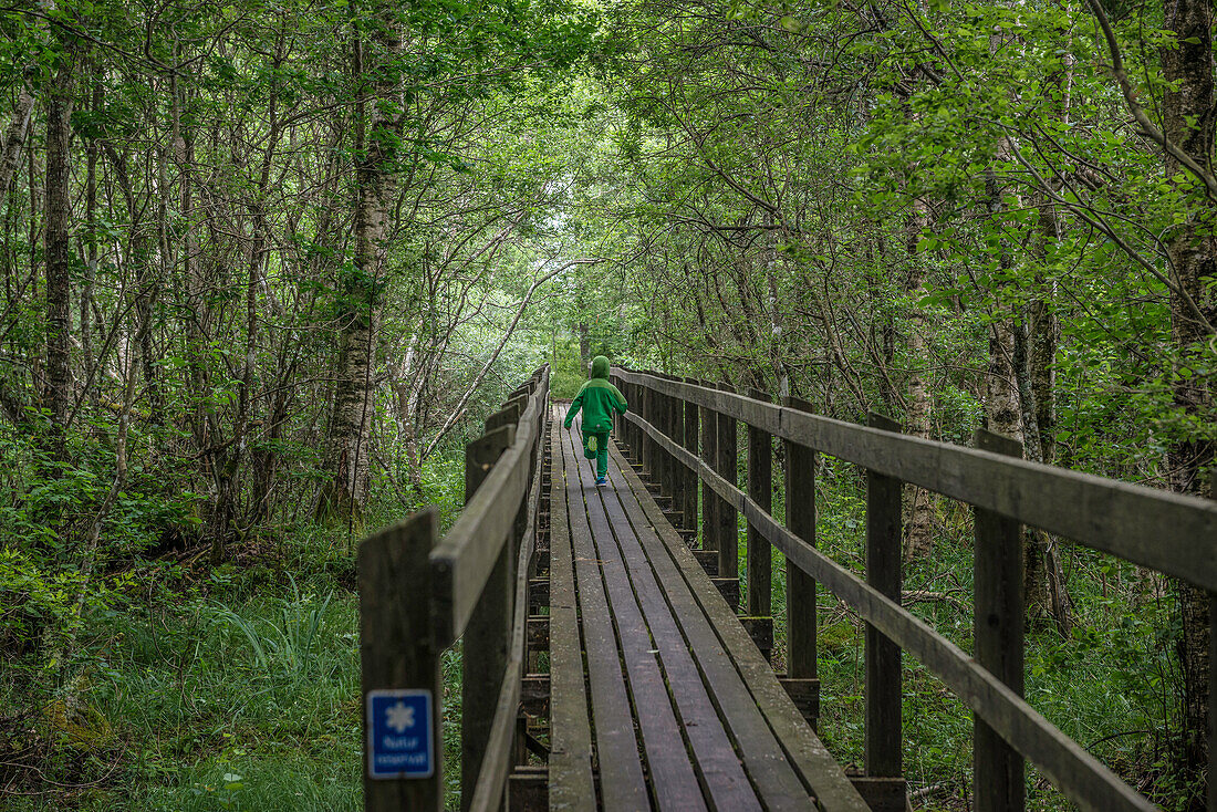 child running along a wooden bridge in the forest of the nature reserve at lake Vanern, Vastergotland, Sweden