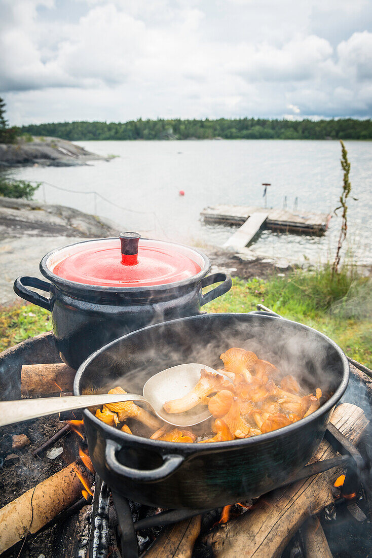 In einer Pfanne werden frisch gesammelte Pfifferlinge auf dem Lagerfeuer gebraten, im Hintergrund Bootssteg und Bucht, Anskarsklubb, Öregrund, Uppsala, Schweden