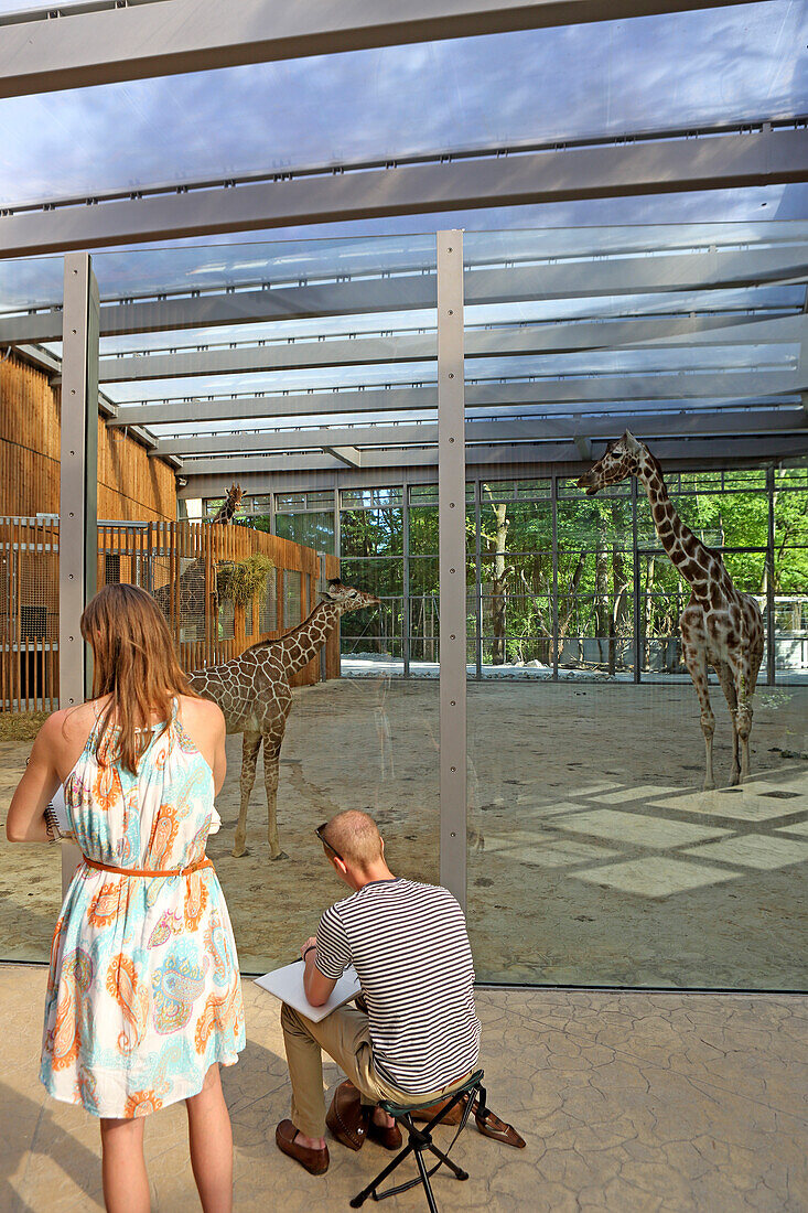 Giraffe house, Zoo Tierpark Hellabrunn, Munich, Bavaria, Germany