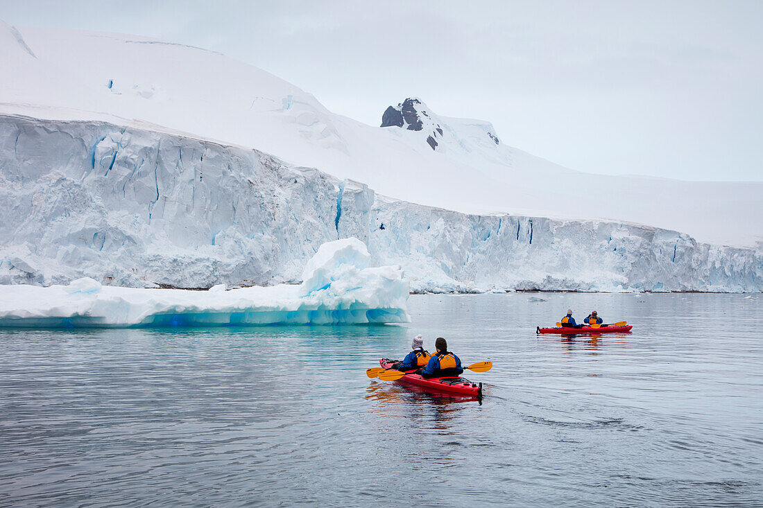 Passagiere von Expeditions Kreuzfahrtschiff MV Sea Spirit (Poseidon Expeditions) paddeln im Seekajak entlang Eisschollen und Eisbergen, Cierva Cove, Grahamland, Antarktische Halbinsel, Antarktis