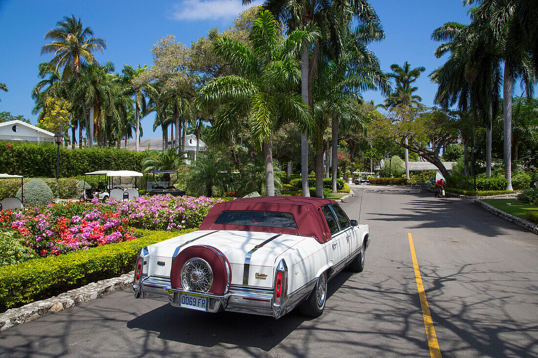 Cadillac Transfer für Gäste vom Half Moon Resort, Rose Hall, nahe Montego Bay, Saint James, Jamaika