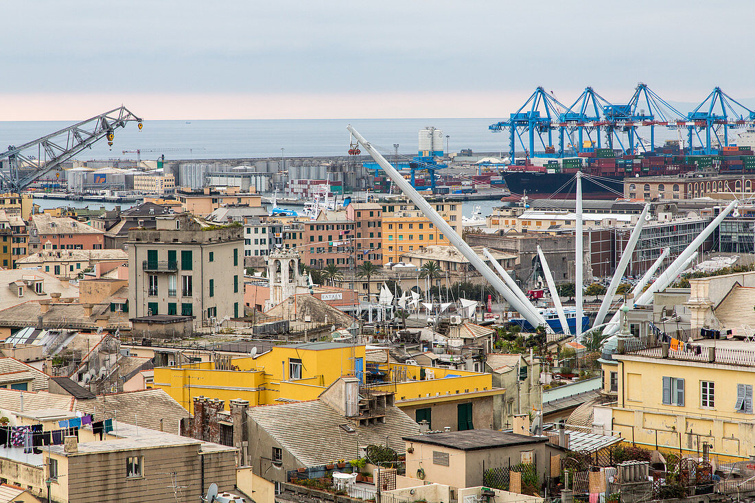 Blick über Genua, das Bigo, ein Panoramaaufzug von Renzo Piano, im Hintergrund das Containerhafen, Dächermeer, Genua, Ligurien, Italien