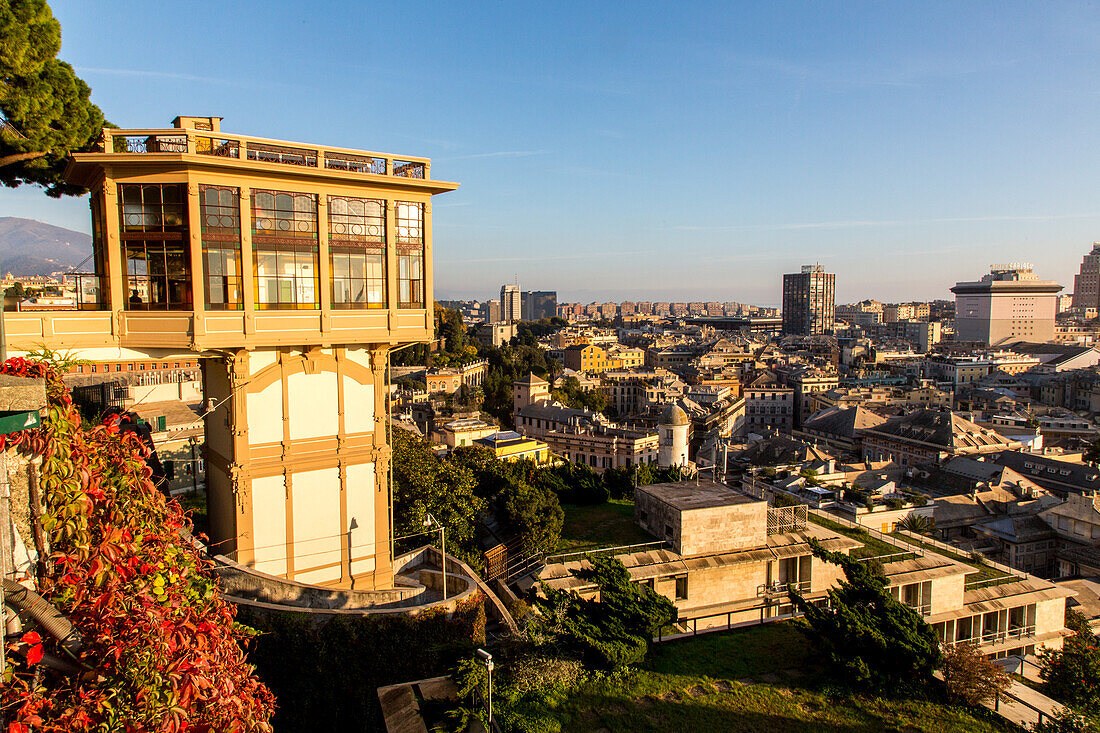 Aufzug von Castelletto, Aussichtspunkt Belvedere Montaldo, Jugendstil, rote Blüten, niemand, Dächer, Genua, Ligurien, Italien