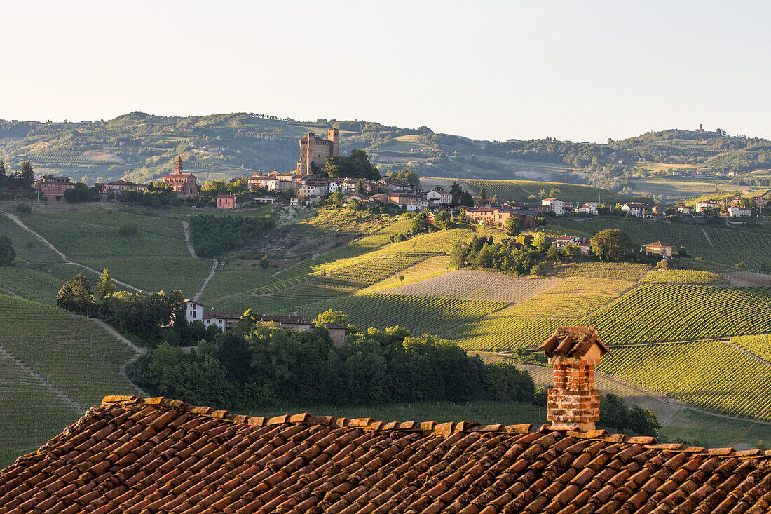 Serralunga d'Alba, vineyards in the Langhe landscape in Piedmont, Italy