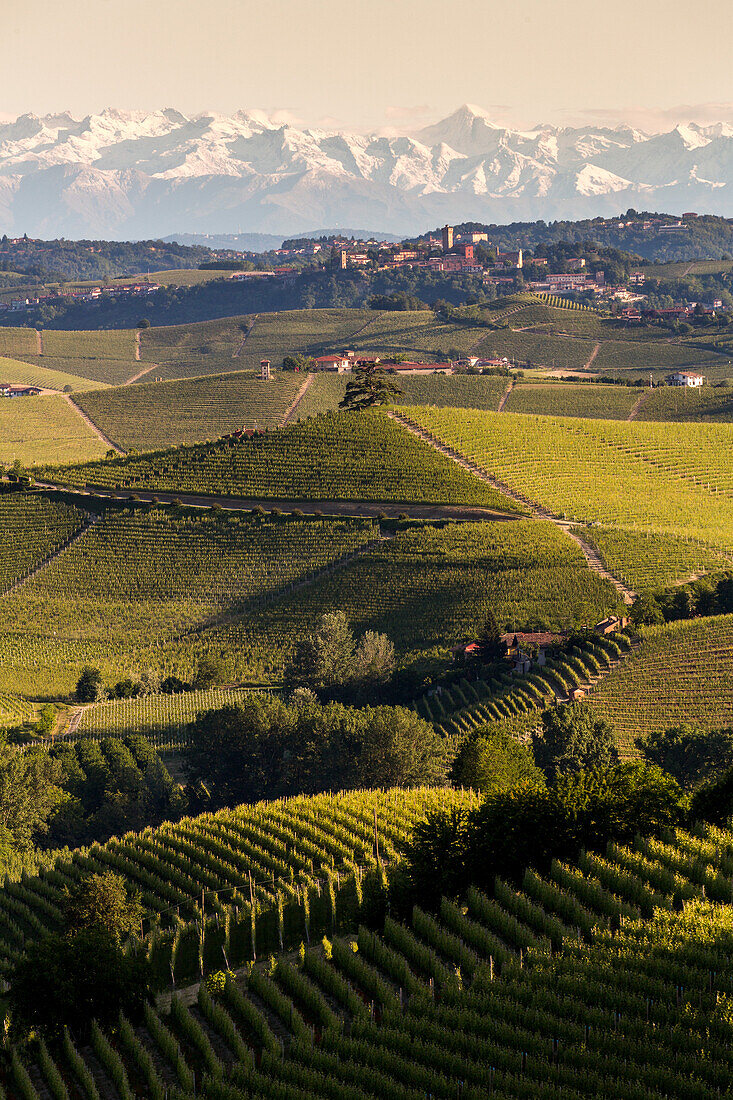 snow on the mountains, alps, vineyards in the Langhe landscape in Piedmont, Italy