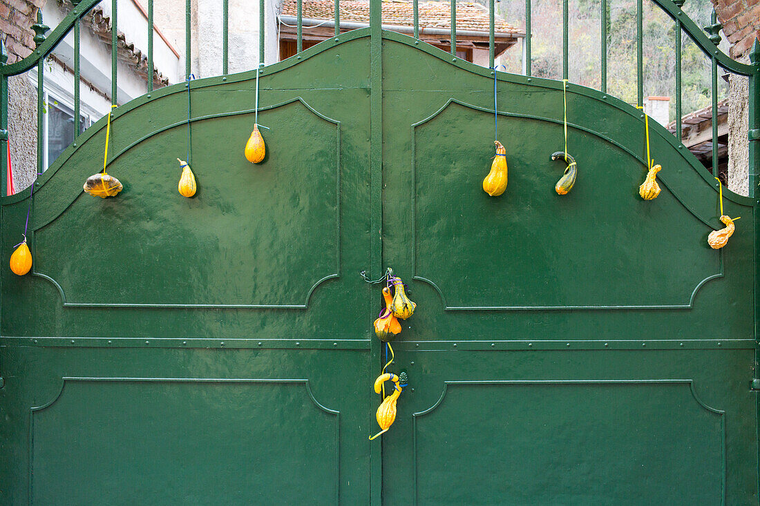 pumpkin festival, small pumpkins and squash decorate gates in Piedmont, Italy
