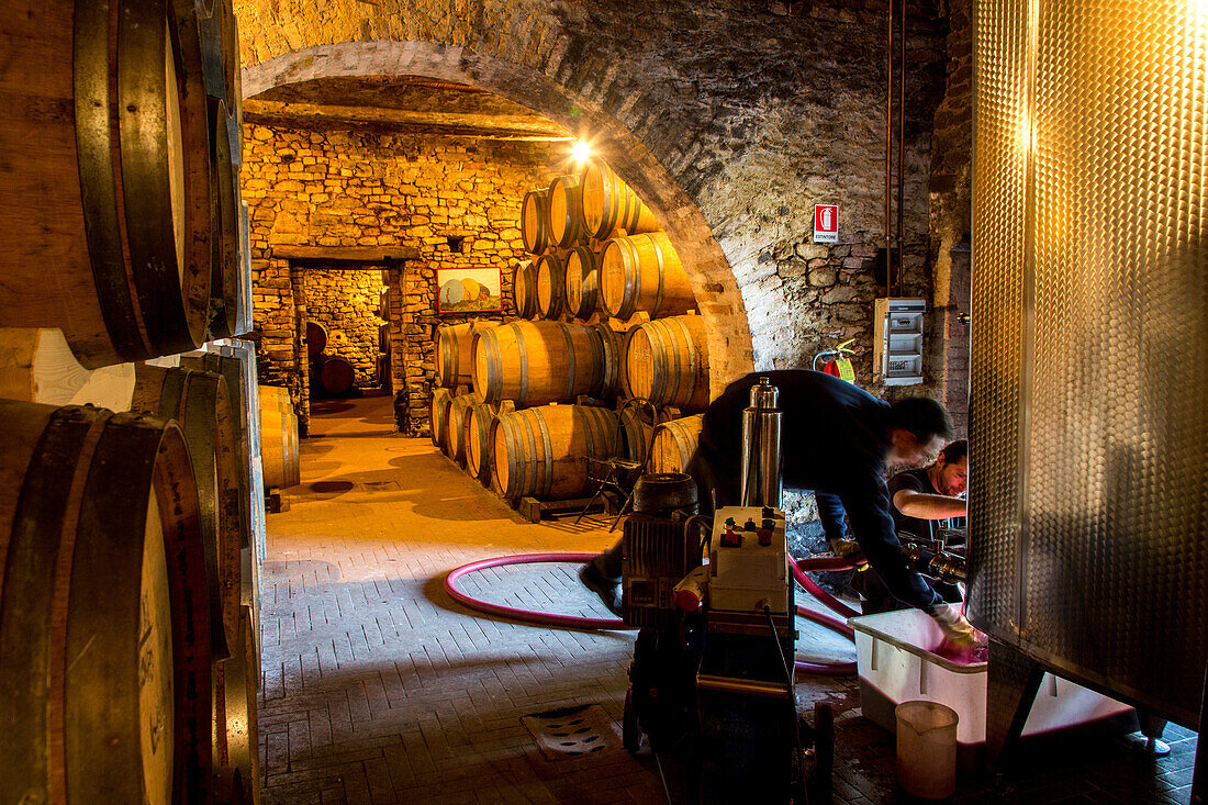 casks in wine cellar, Barolo area of Langhe, Piedmont, Italy