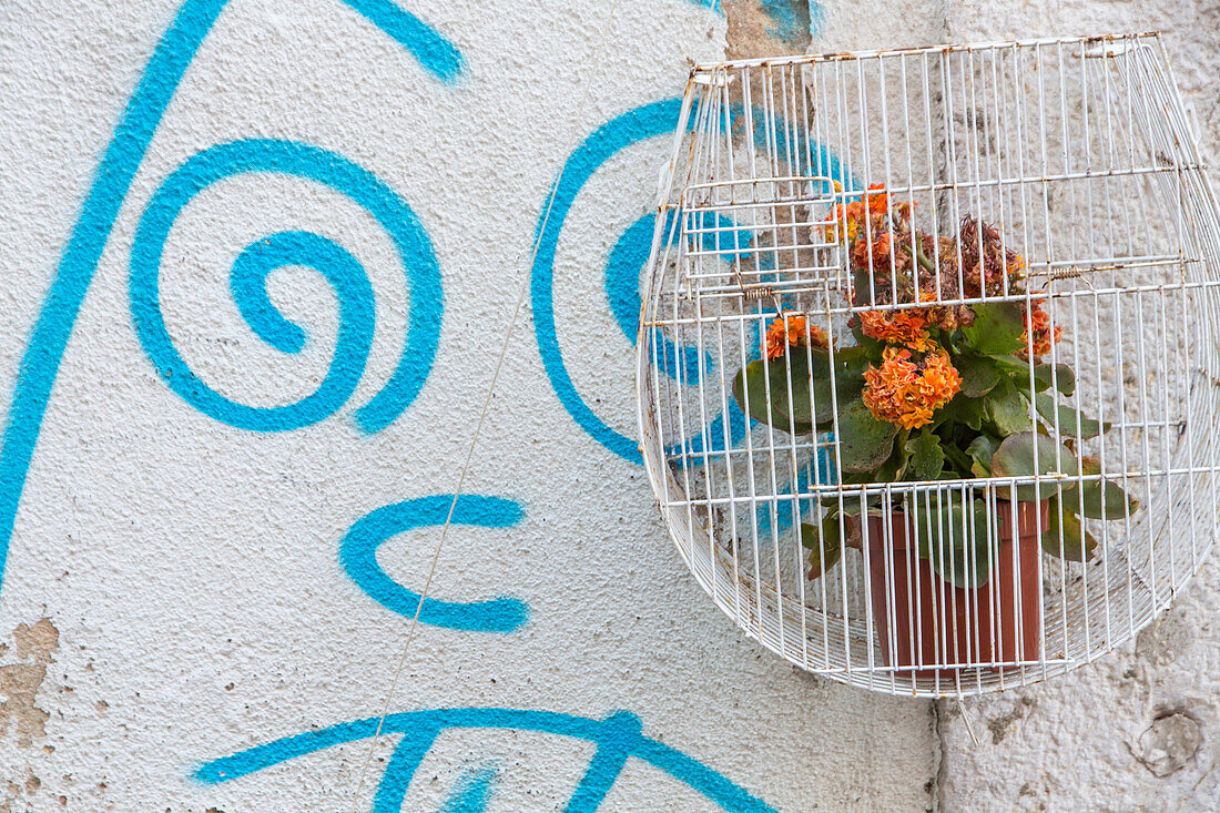 graffiti, humorous wall painting, flower pot in bird cage, wall decoration, nobody, Lisbon, Portugal