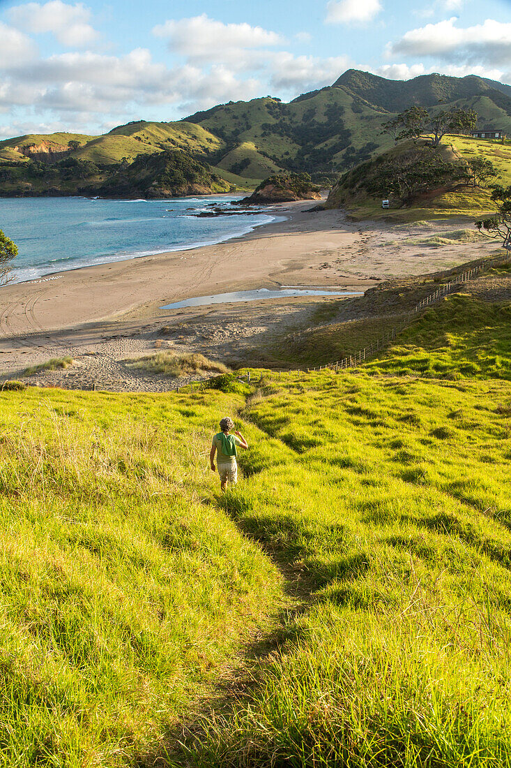 Walking, tramping, hiker, private farmland, Elliot Bay, landscape, North Island, New Zealand