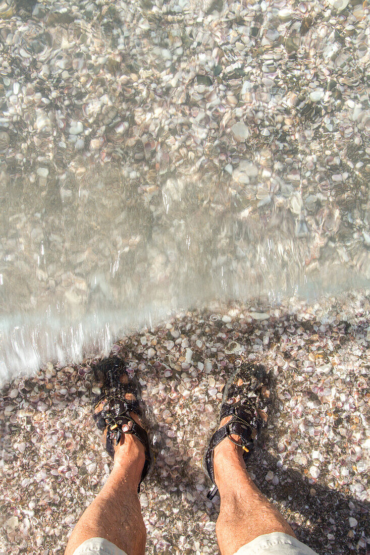 feet with sandals standing in water on shell beach, New Zealand