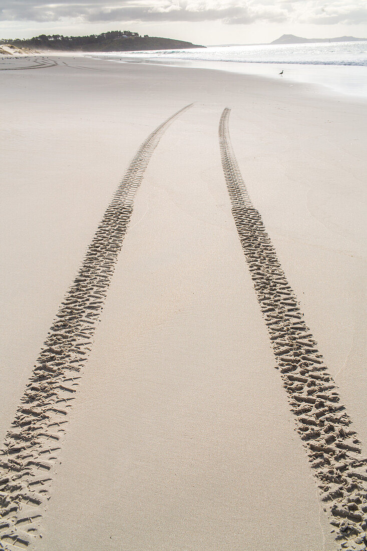 wheel tracks in sand on beach, direction, route, high format, New Zealand