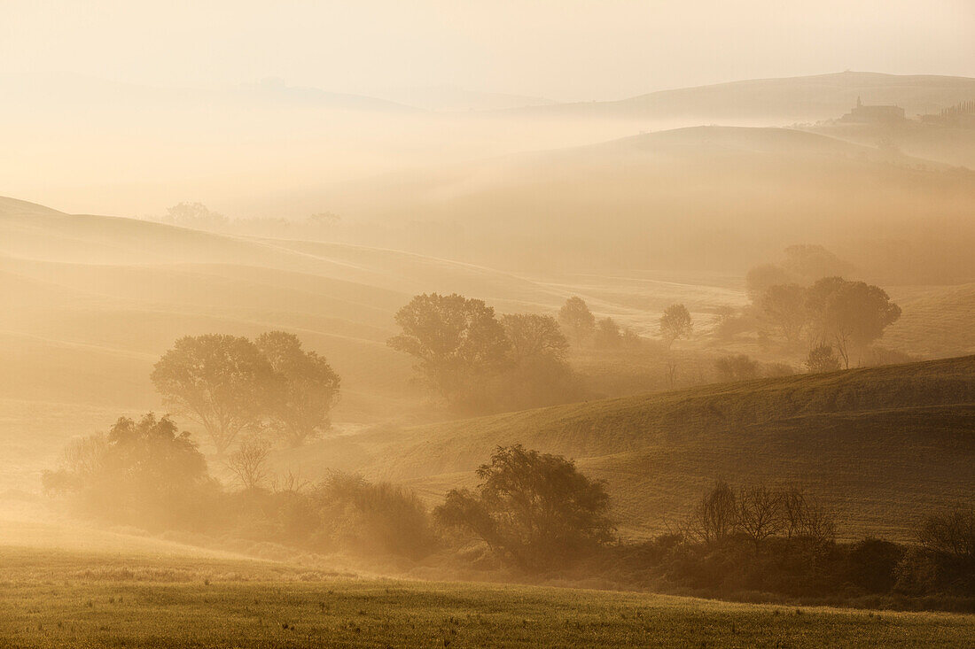 Morning sun over the hills and misty valleys of the Val d'Orcia, San Quirico d'Orcia, Siena Province, Tuscany, Italy