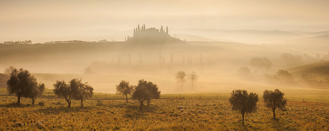 Panorama of tuscan landscape with a villa and cypress trees in the morning mist and sun, pasture with poppies and olive trees in the foreground, San Quirico d'Orcia, Val d'Orcia, Siena Province, Tuscany, Italy