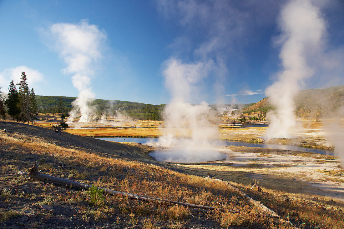 Midway Geyser Basin , Firehole River , Yellowstone National Park , Wyoming , U.S.A. , Amerika