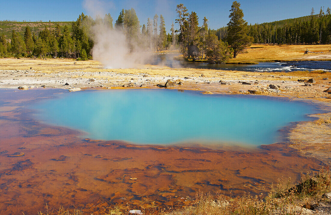 Sapphire Pool , Biscuit Basin , Yellowstone National Park , Wyoming , U.S.A. , America