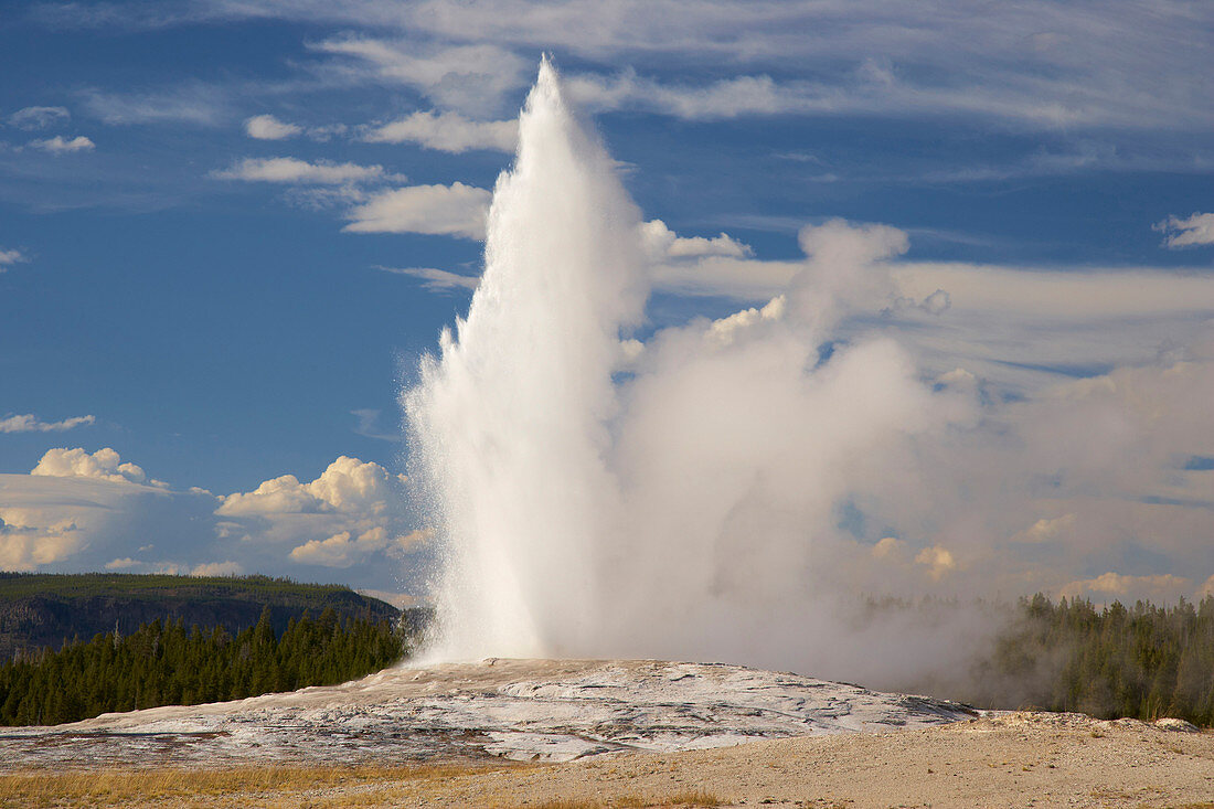 Aktivität des Old Faithful Geyser am Upper Geyser Basin , Yellowstone National Park , Wyoming , U.S.A. , Amerika