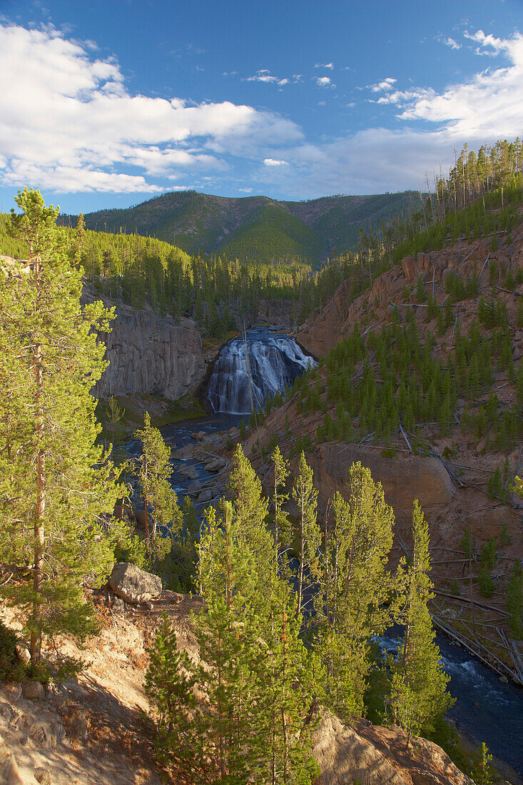 Gibbon River und Gibbon Falls , Yellowstone National Park , Wyoming , U.S.A. , Amerika