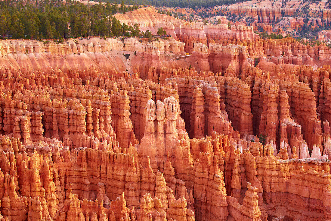 View from Inspiration Point into Bryce Amphitheater , Bryce Canyon National Park , Utah , U.S.A. , America