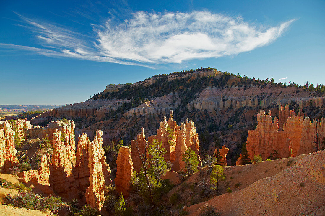 Weiße Wolke , Fairyland Point , Bryce Canyon National Park , Utah , U.S.A. , Amerika